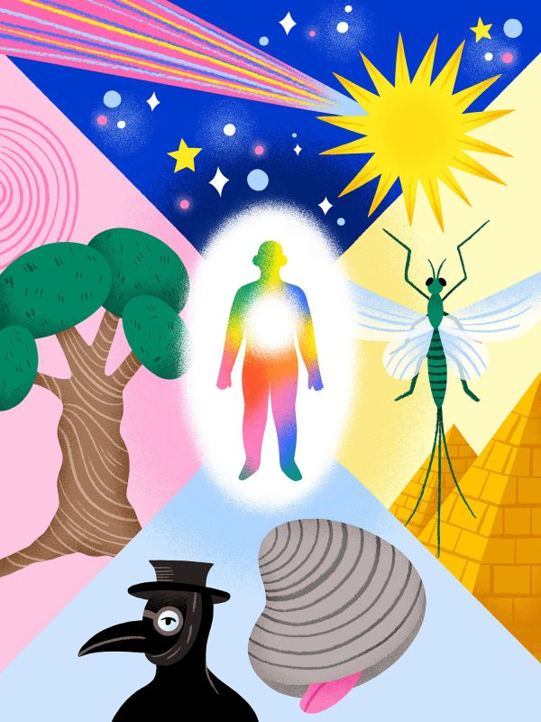  - Karin Söderquist - illustrateurs/rices